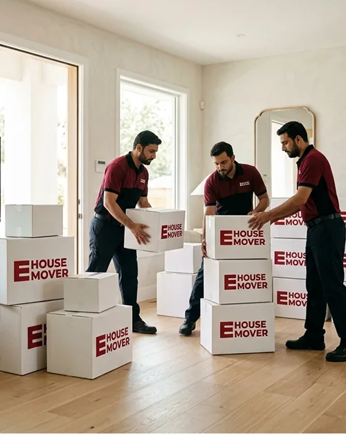 E House Mover Team Moving Apartment